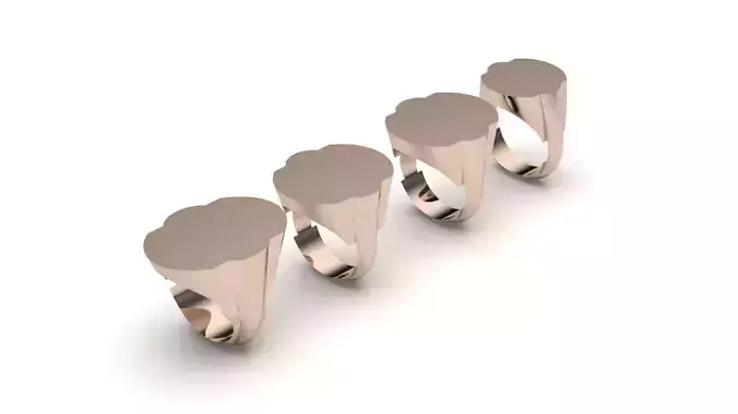 signet ring hollow and solid 8 pieces model12