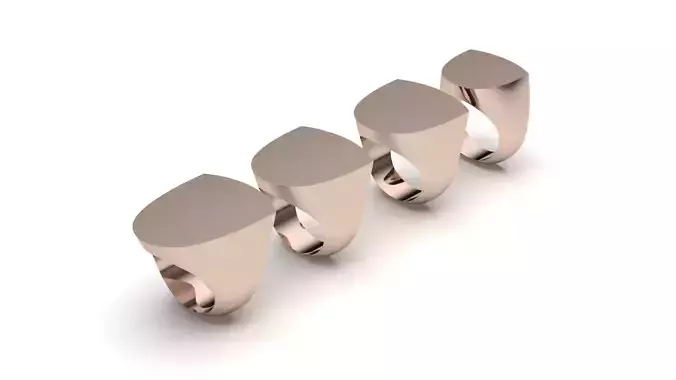 signet ring hollow and solid 8 pieces model13