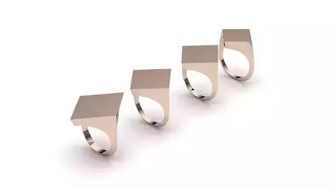 signet ring hollow and solid 8 pieces model21