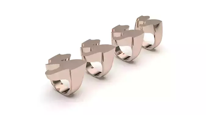   signet ring hollow and solid 8 pieces model29