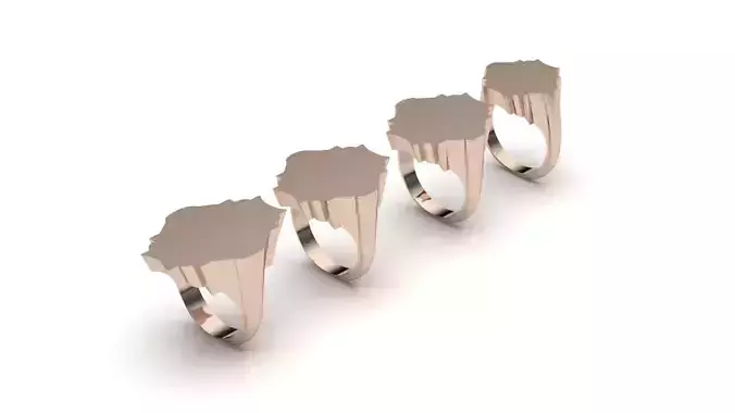 signet ring hollow and solid 8 pieces model38