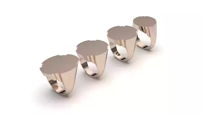 signet ring hollow and solid 8 pieces model44