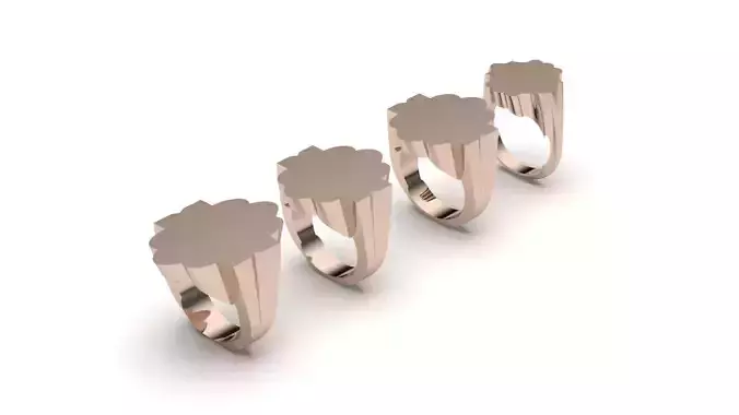 signet ring hollow and solid 8 pieces model47