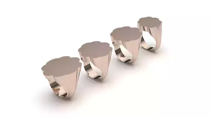 signet ring hollow and solid 8 pieces model48