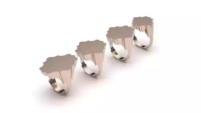 signet ring hollow and solid 8 pieces model49