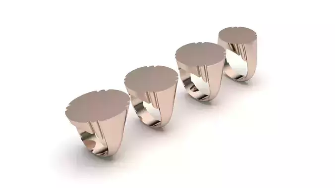 signet ring hollow and solid 8 pieces model52