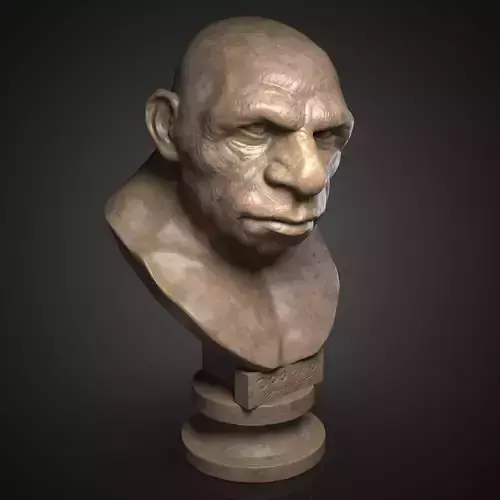 Caveman bust  3D print model