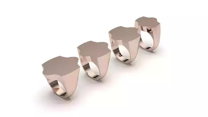  signet ring hollow and solid 8 pieces model69