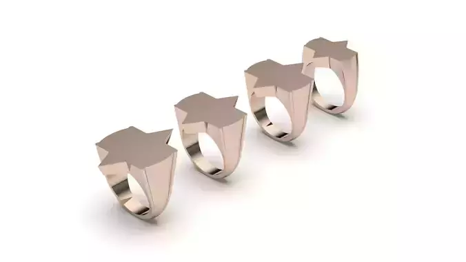 signet ring hollow and solid 8 pieces model70