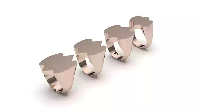 signet ring hollow and solid 8 pieces model71