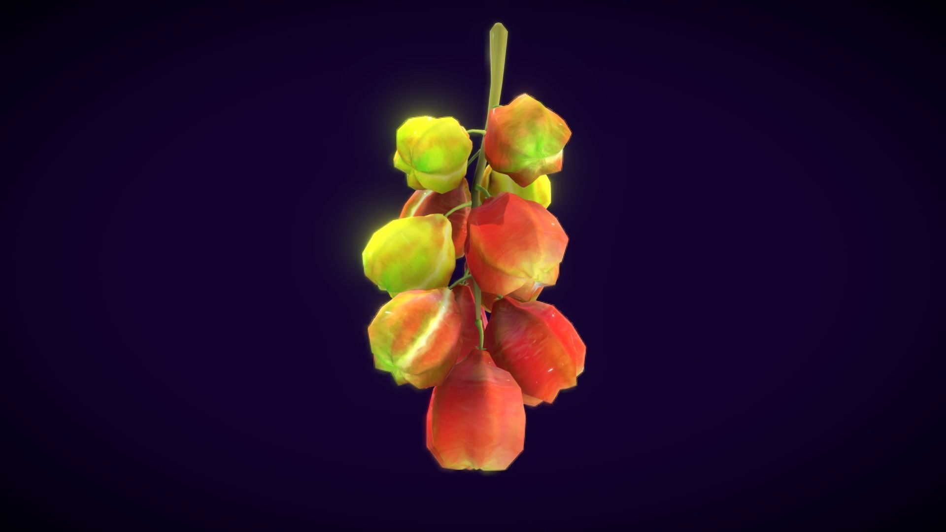 Collections Fruit Path2 Low-poly 3D model_4