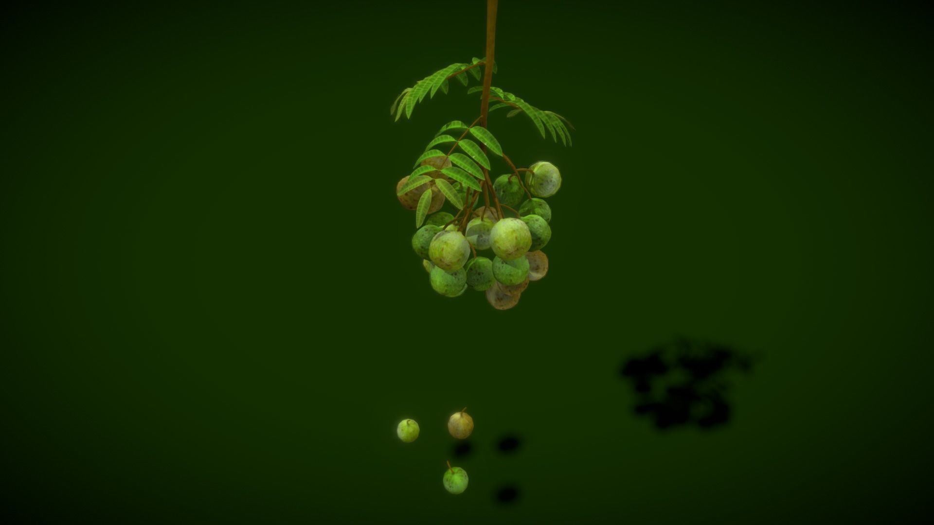 Collection Fruit Path 3 Low-poly 3D model_4
