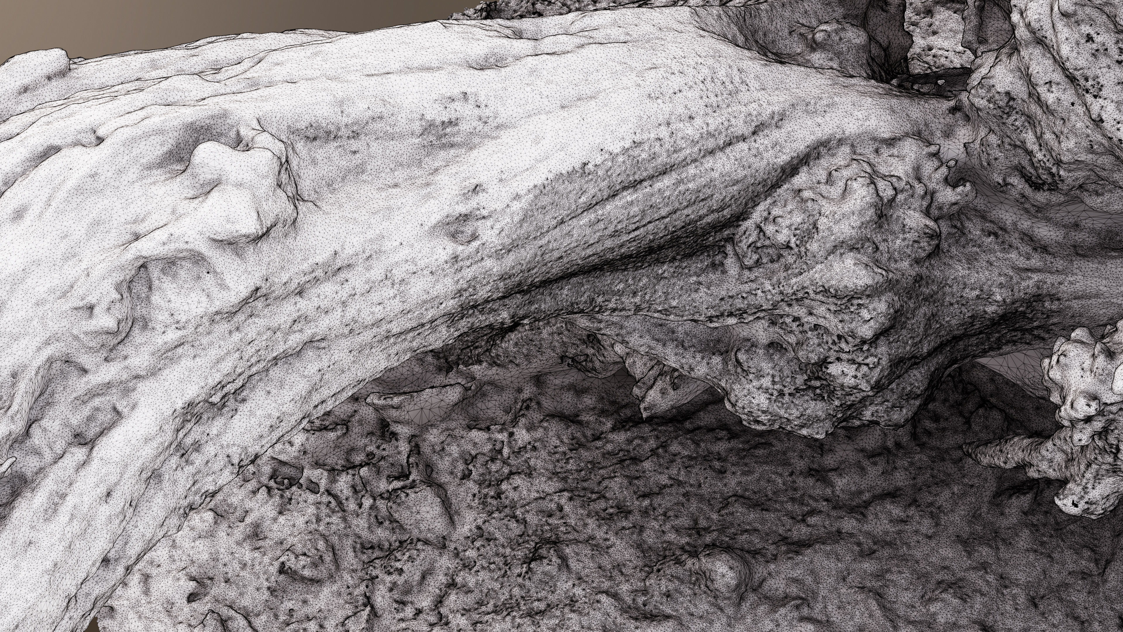 Dry Root 3D model_13