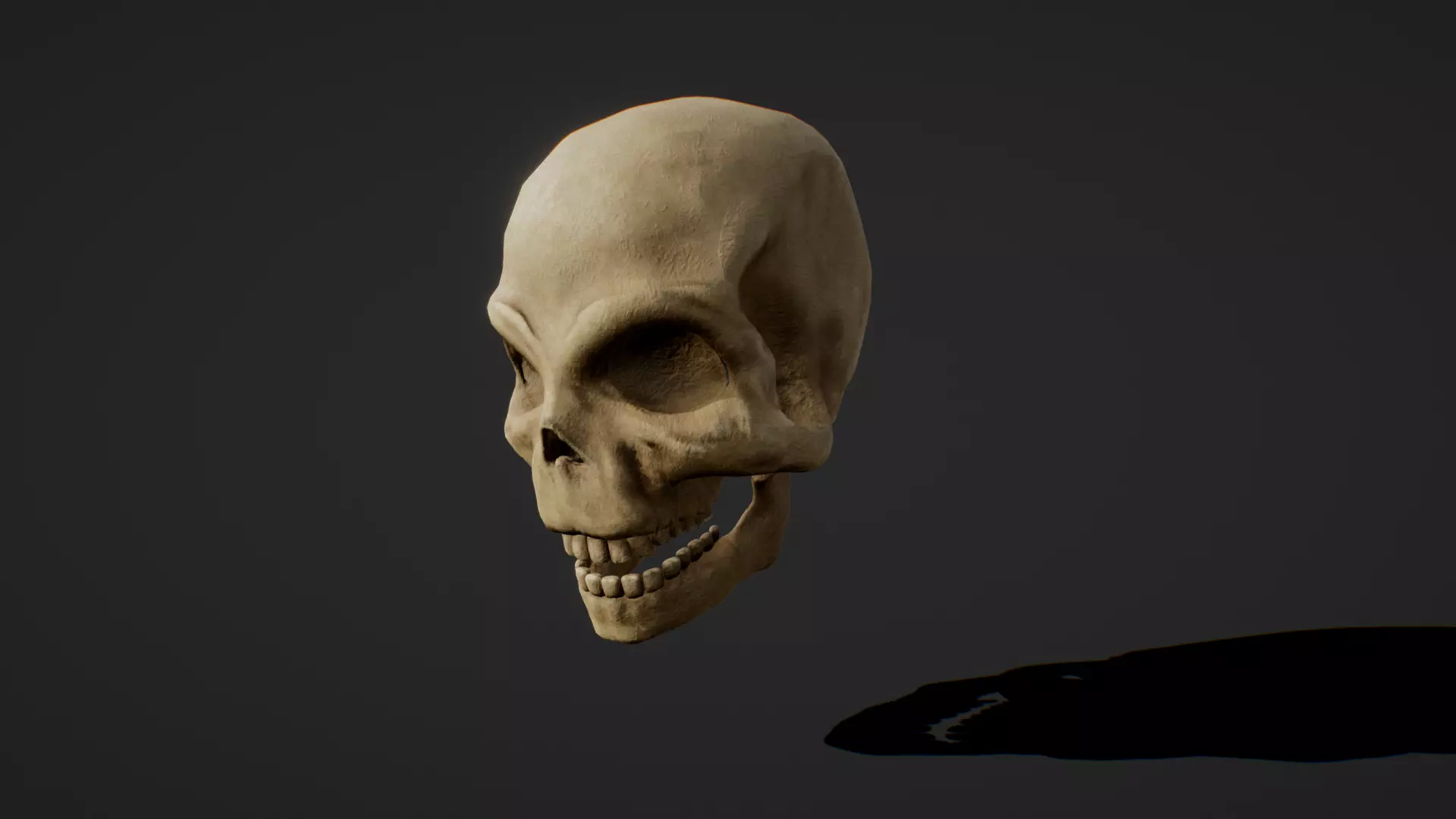 Skull Low-poly 3D model_0