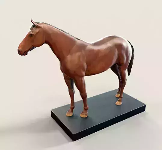 Horse 3D print model