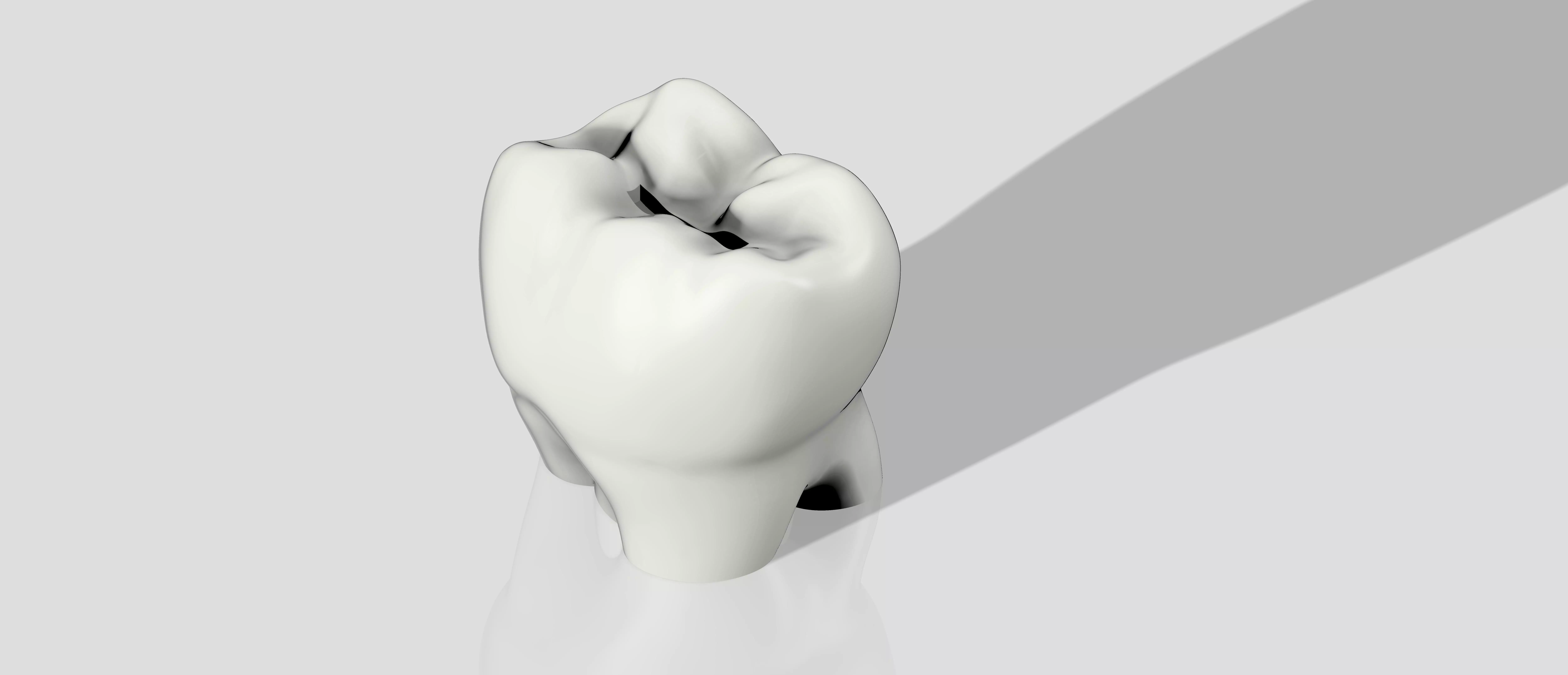 Money Tooth - Small 3D print model_0