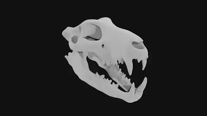Lion skull
