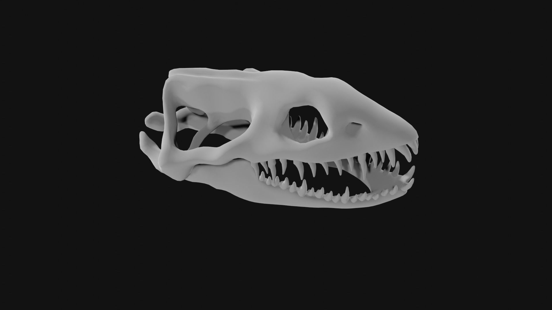 Plesiosaur skull 3D model_4
