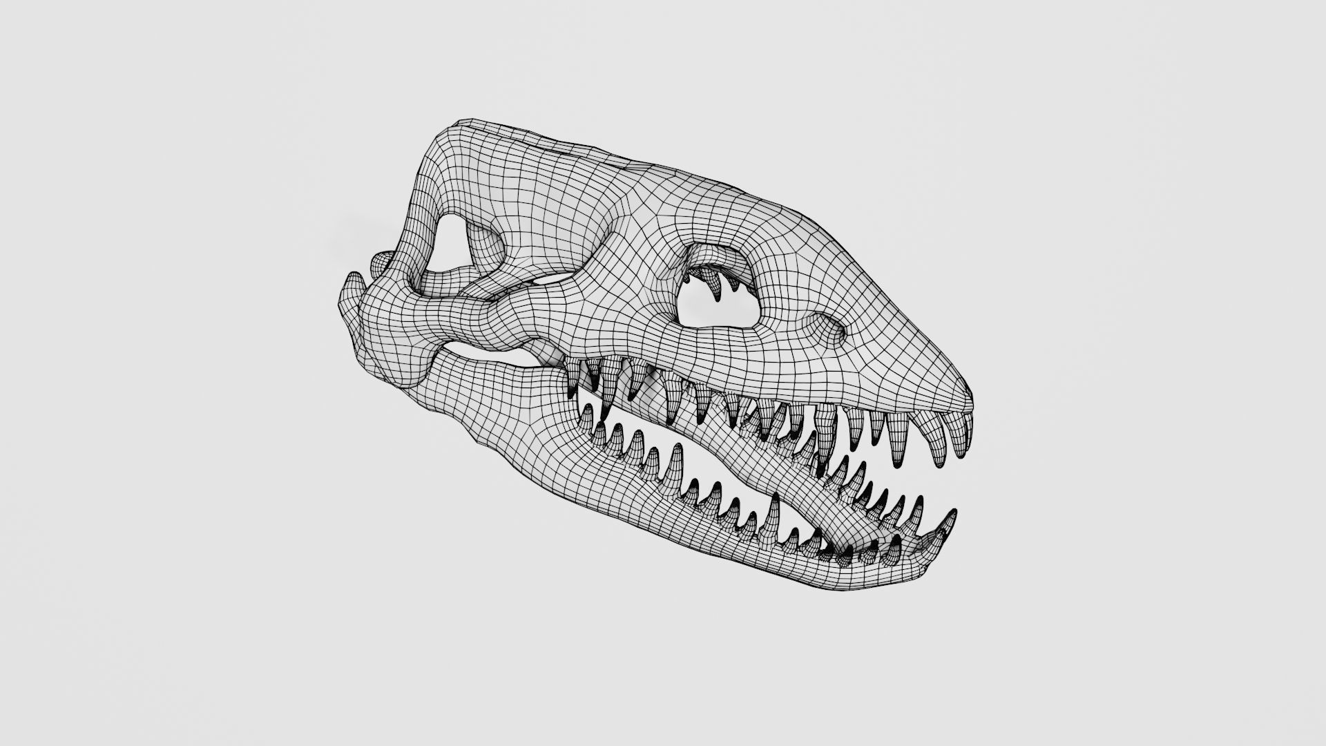 Plesiosaur skull 3D model_7