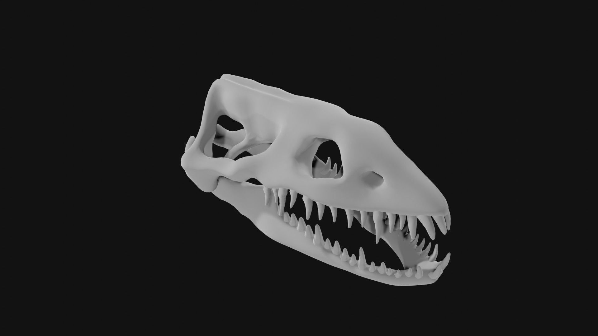 Plesiosaur skull 3D model_1