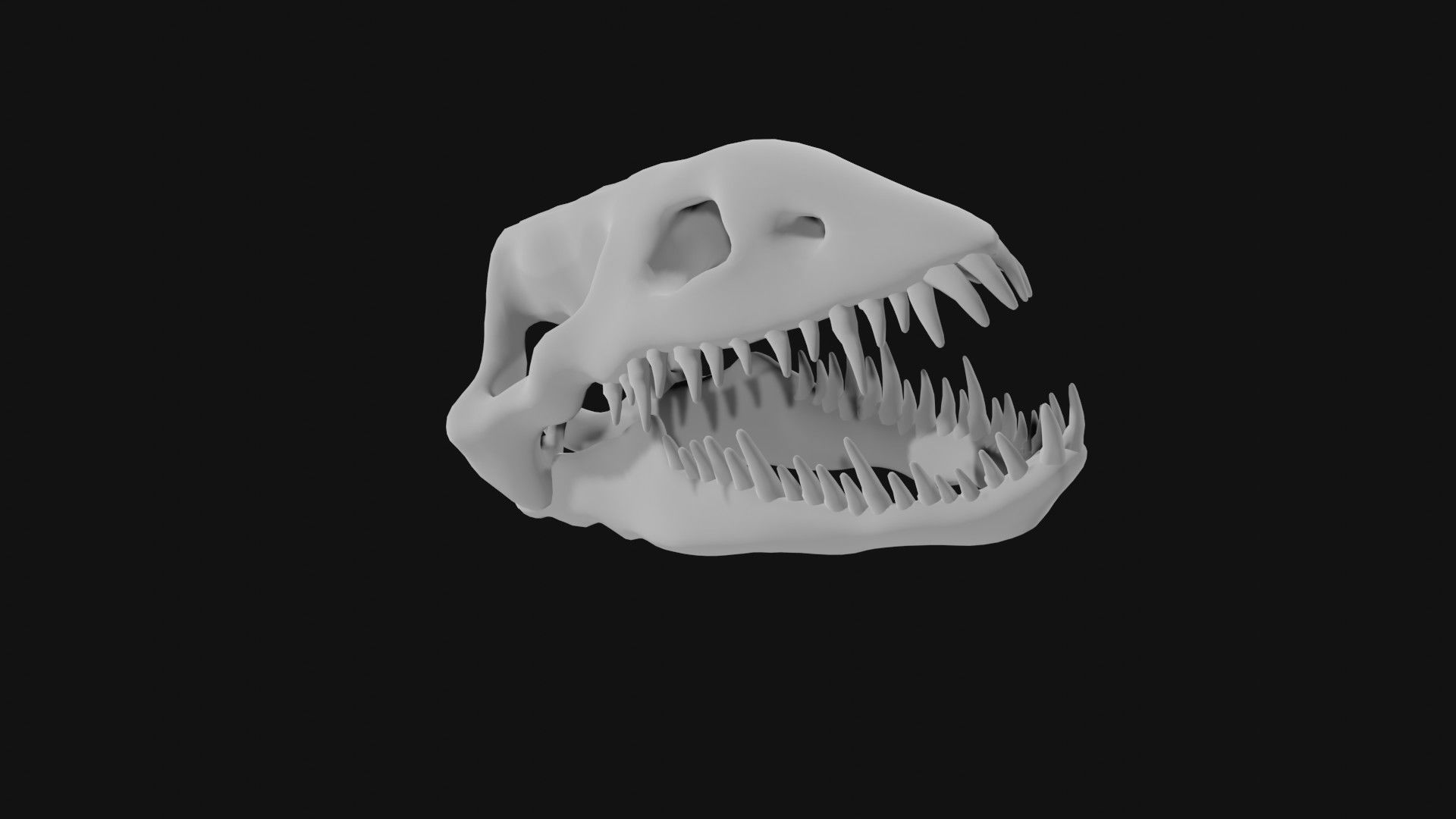 Plesiosaur skull 3D model_5