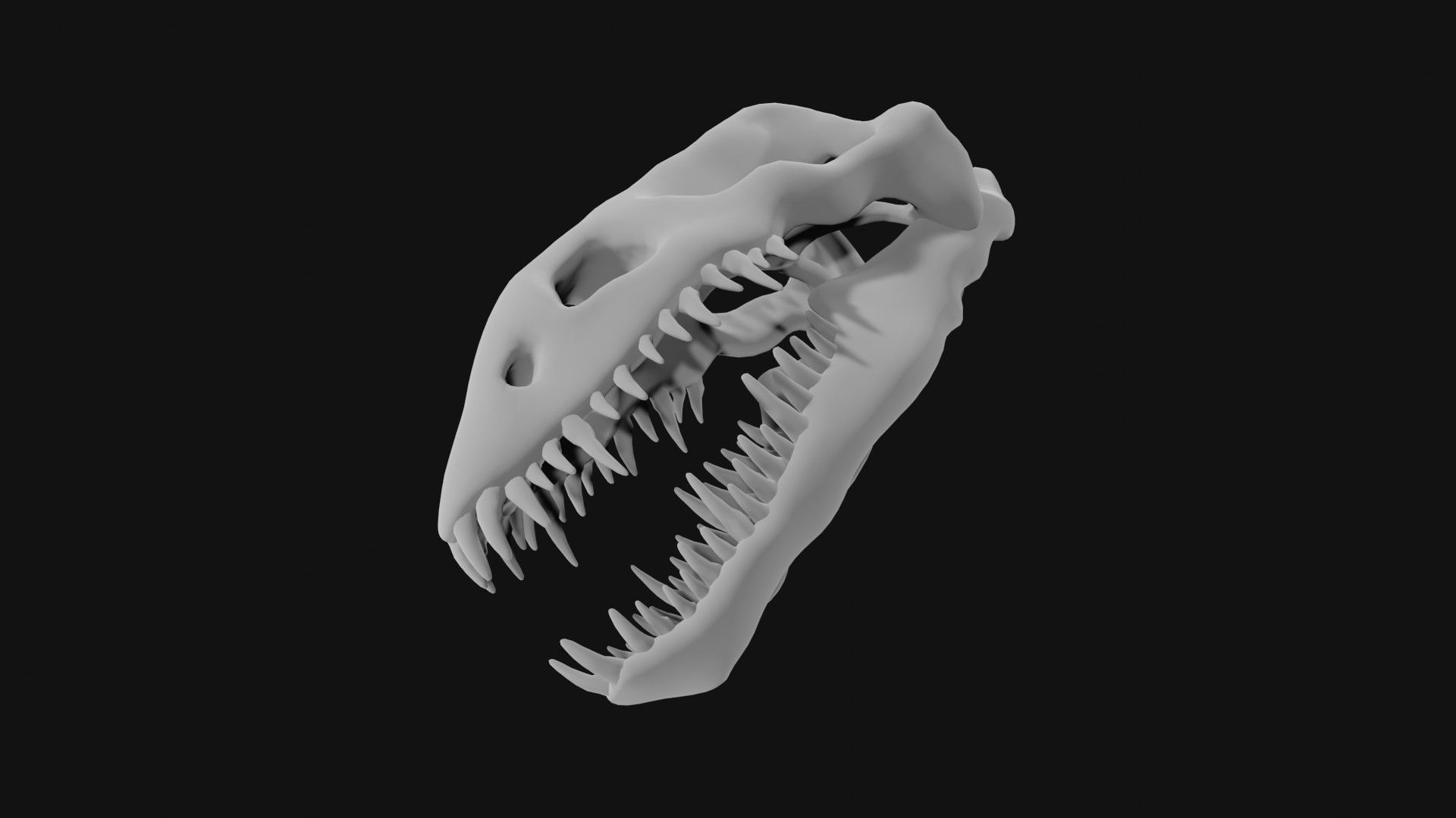 Plesiosaur skull 3D model_2