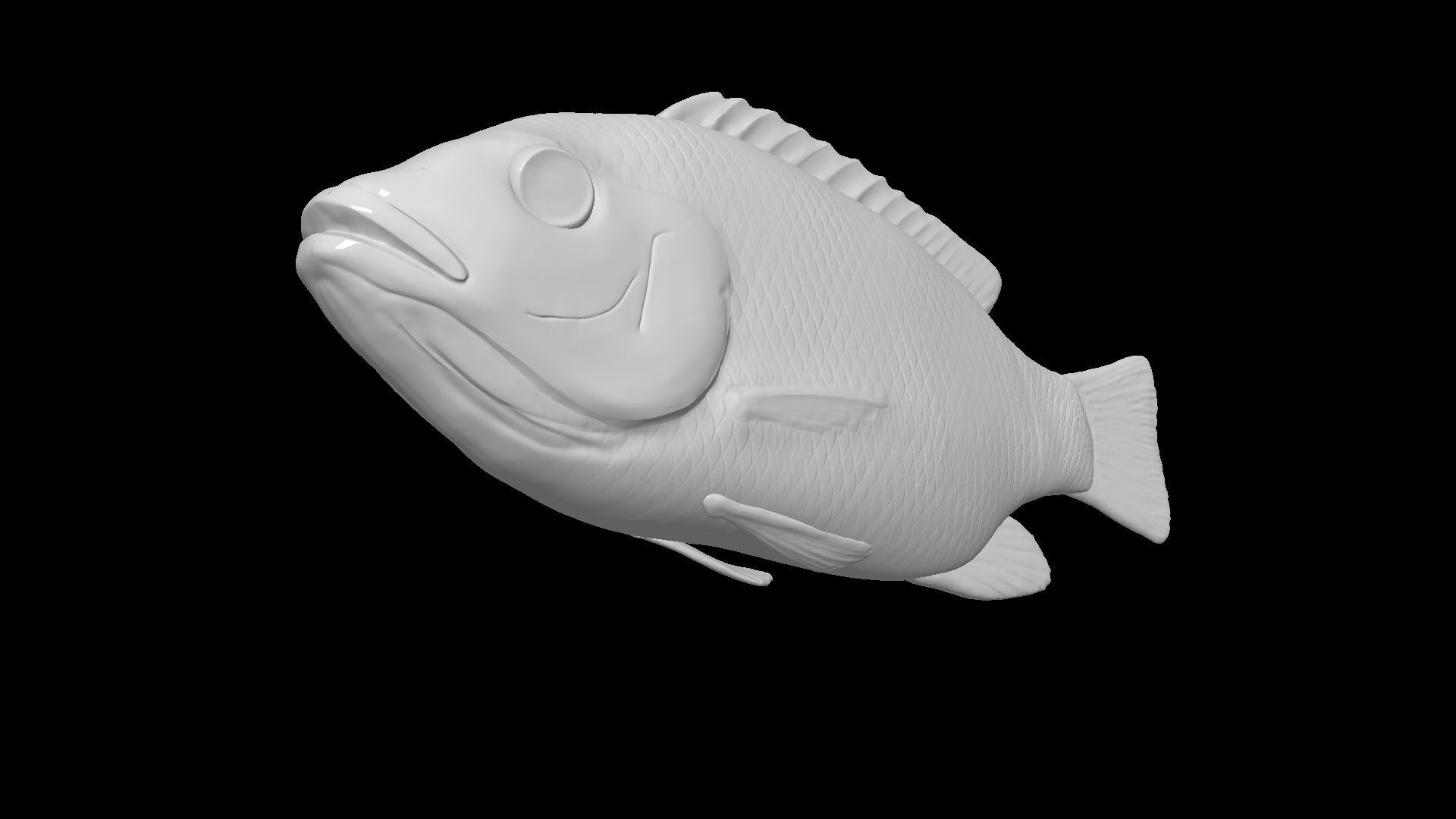 Tilapia fish model 3D print model_1
