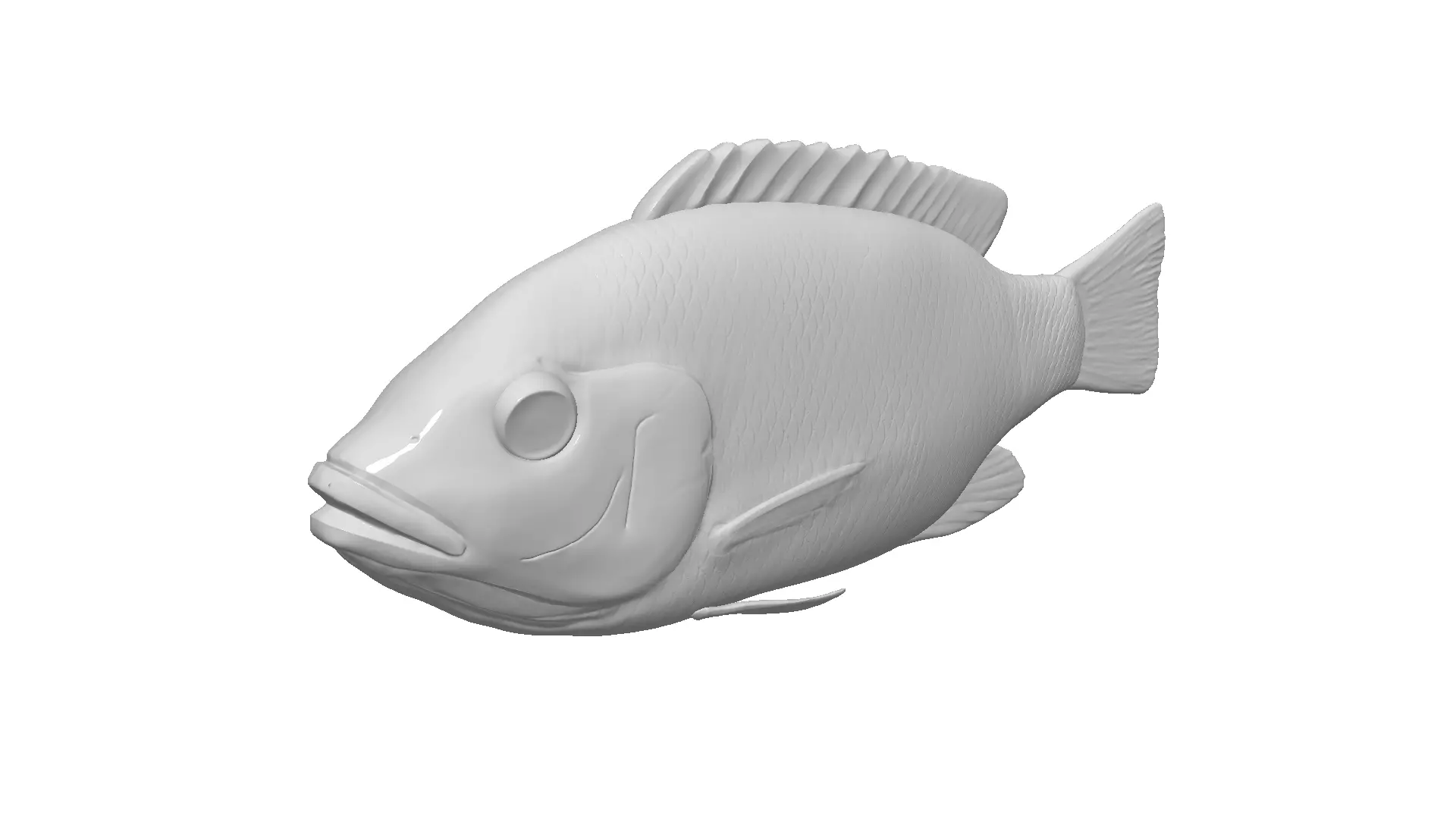 Tilapia fish model 3D print model_0