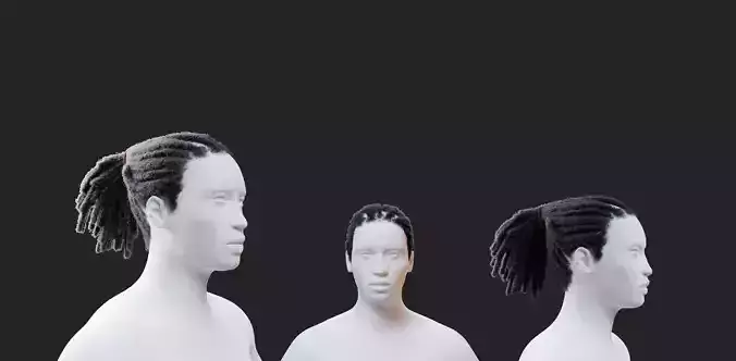 Dreadlocks Ponytail 3D model