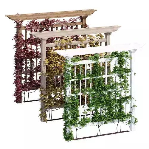 Camden pergola with vines growing