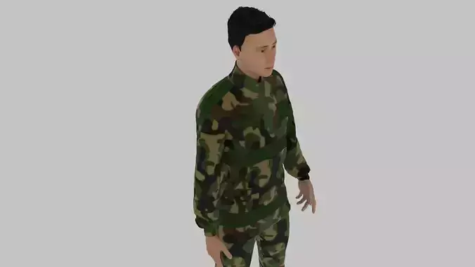 Soldier in camouflage uniform