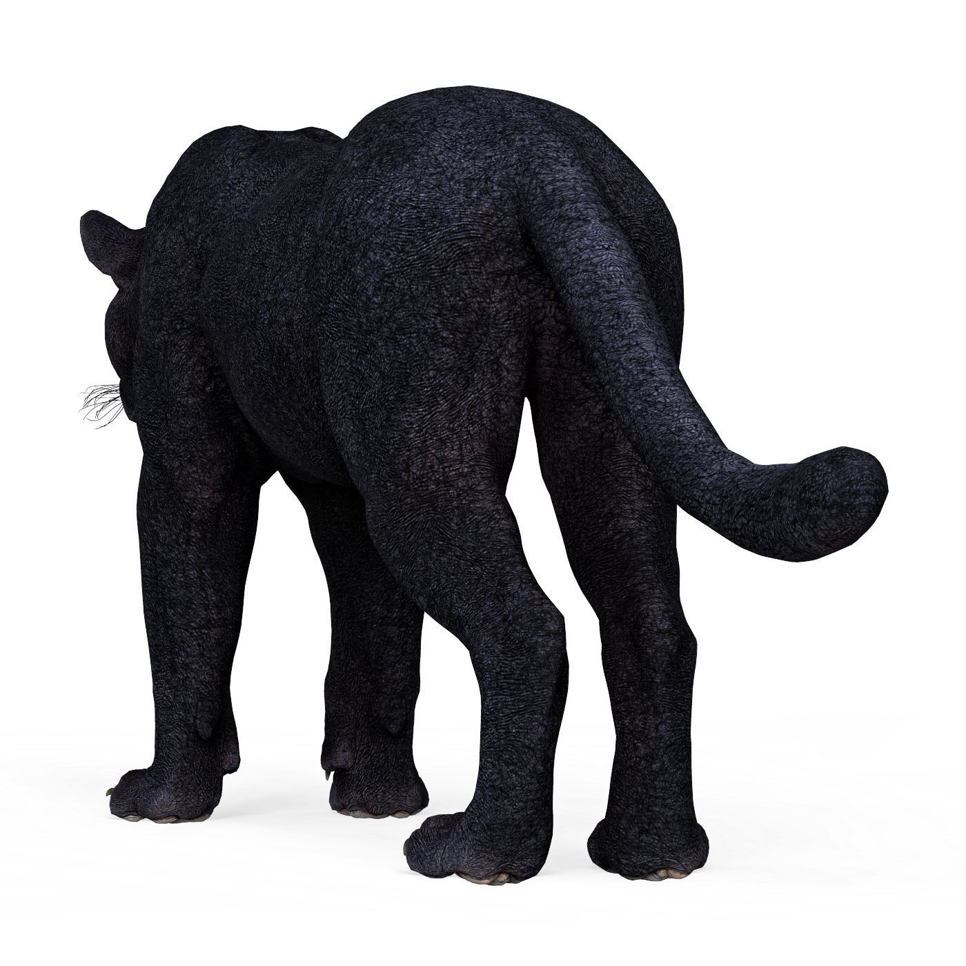 Black Panther Low-poly 3D model_4