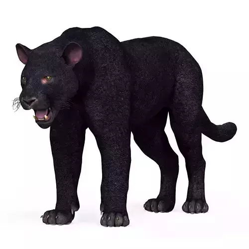 Black Panther