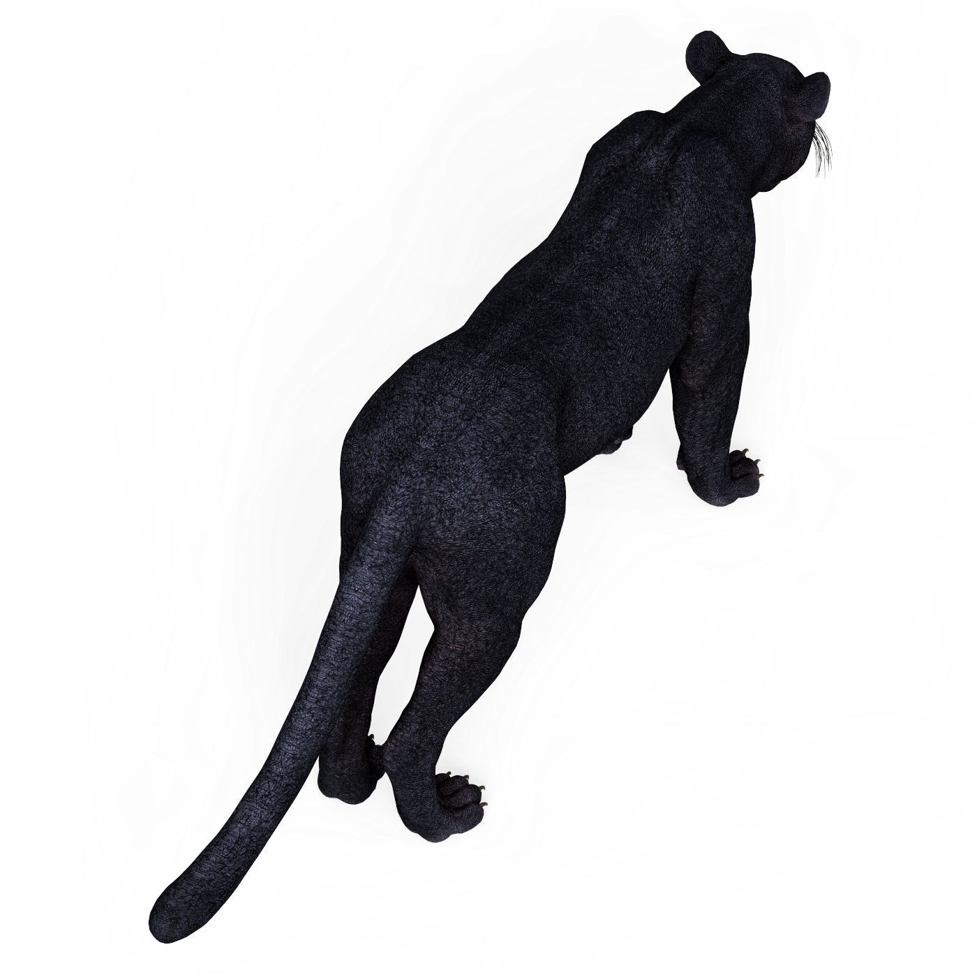 Black Panther Low-poly 3D model_6
