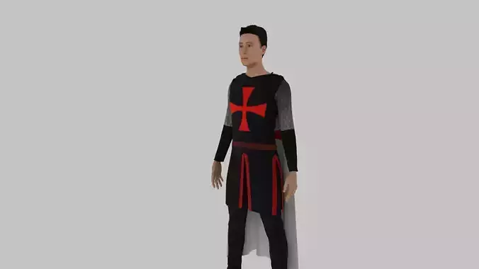 Templar knight in armor