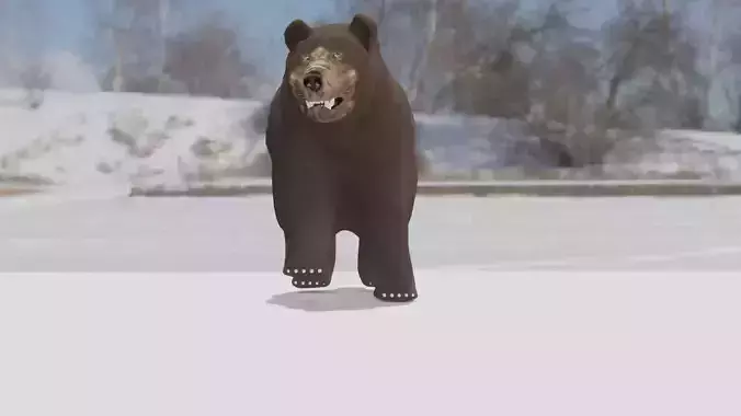 Free bear Free 3D model