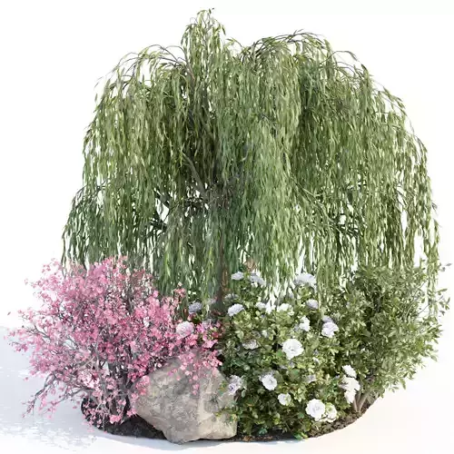 Outdoor Plants for Garden Collection vol 150