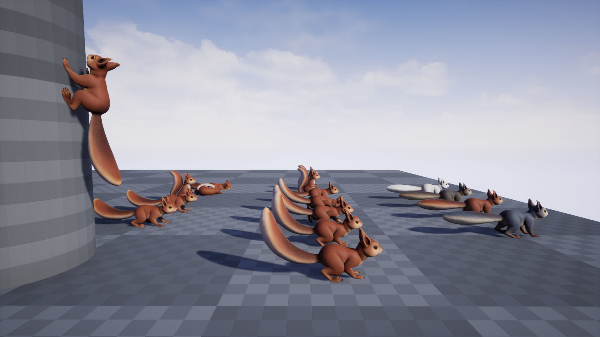 Squirrel squirrels Low-poly 3D model_9