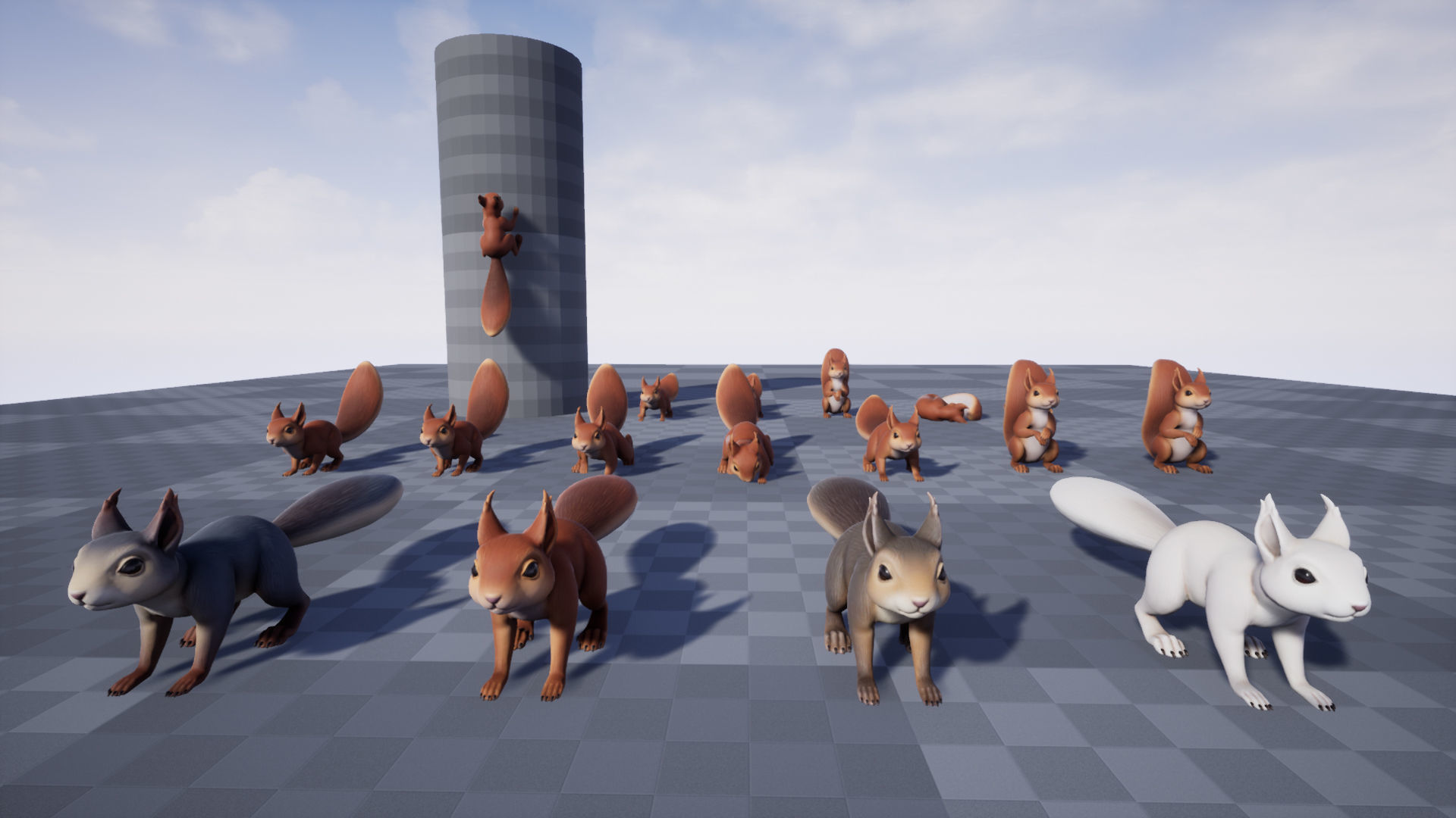 Squirrel squirrels Low-poly 3D model_6