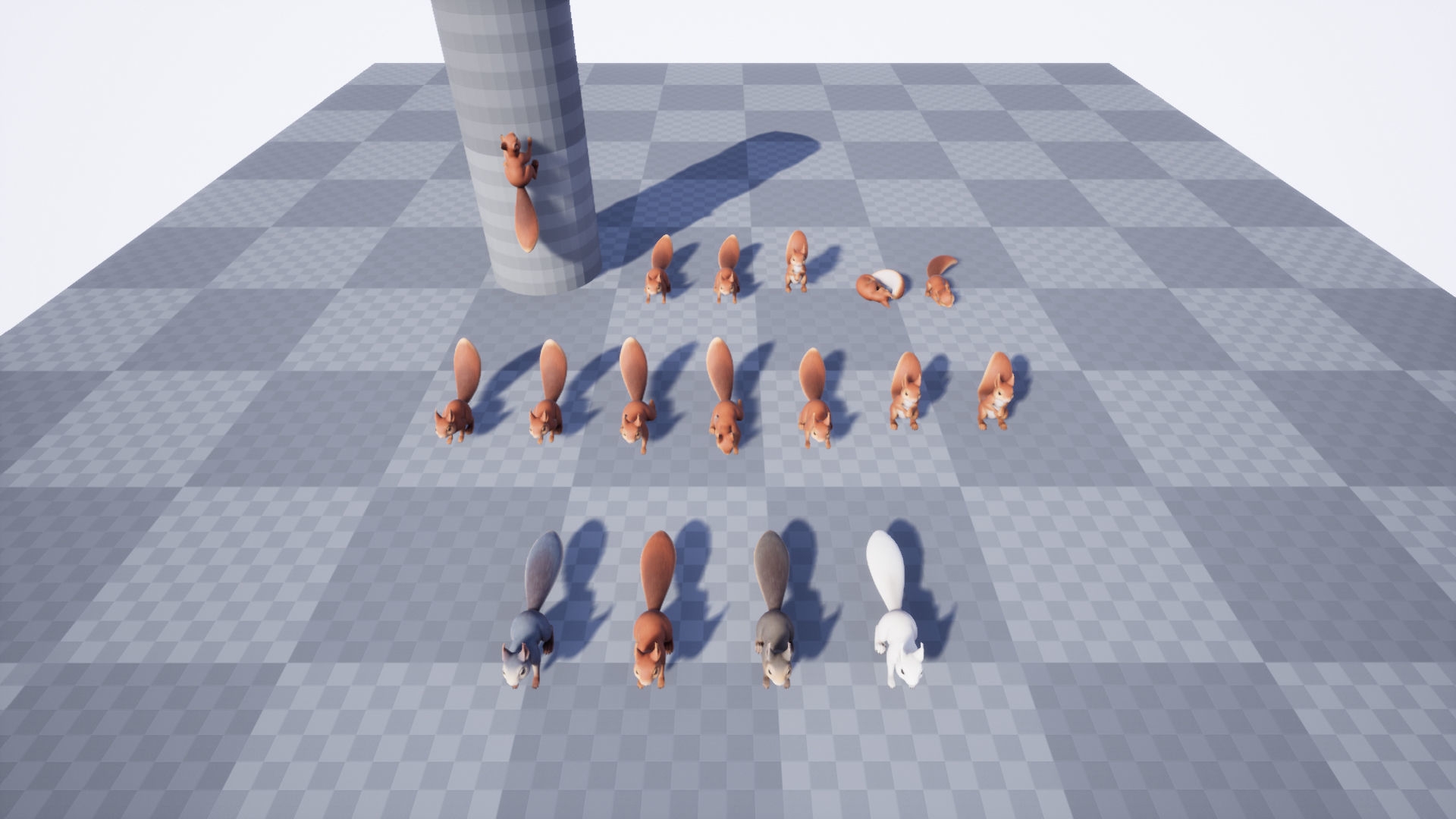 Squirrel squirrels Low-poly 3D model_7