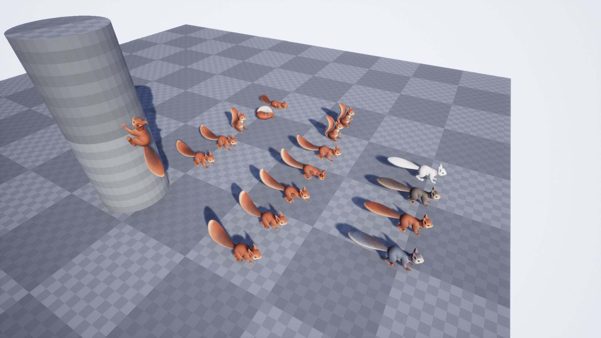 Squirrel squirrels Low-poly 3D model_8