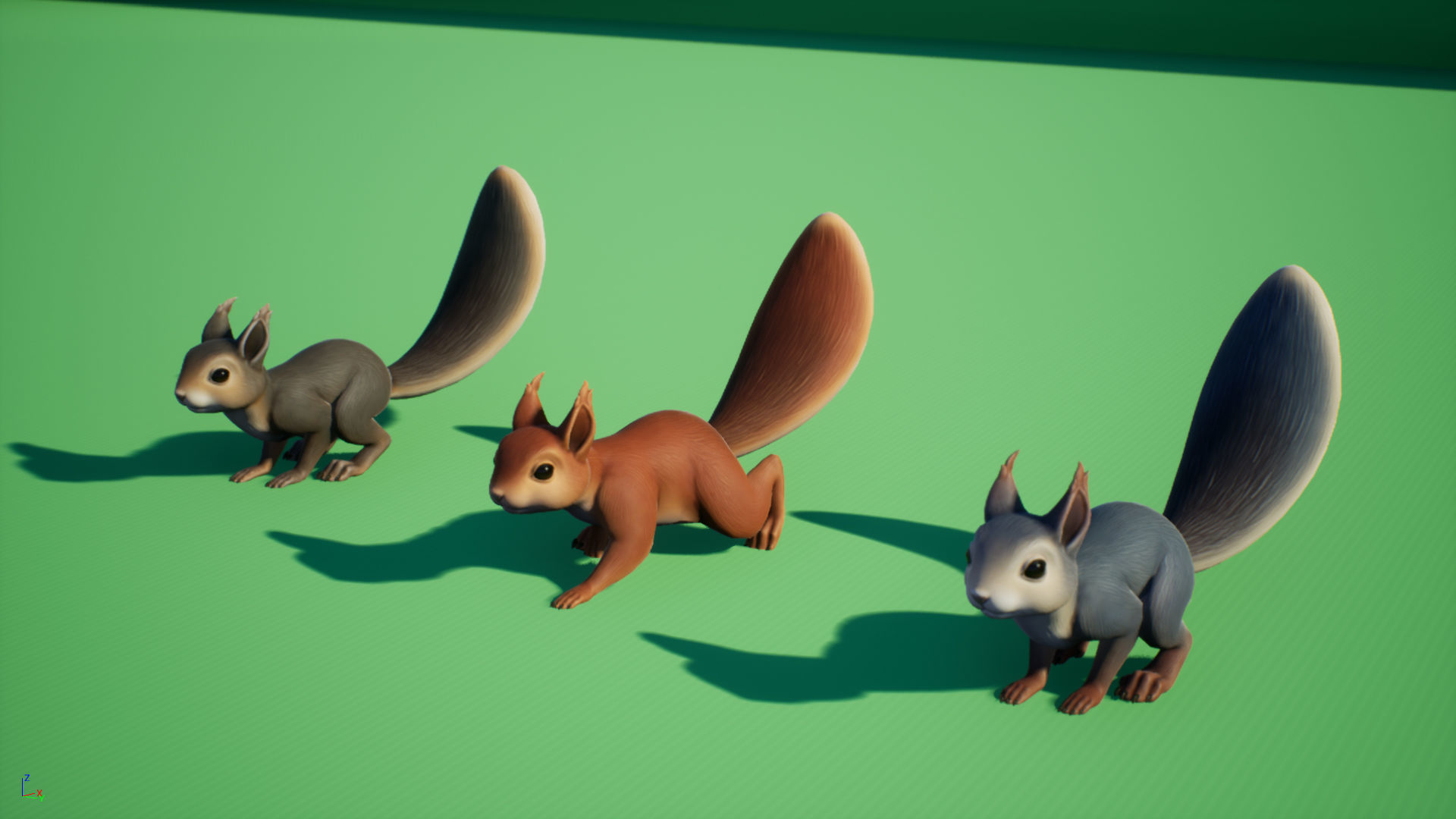 Squirrel squirrels Low-poly 3D model_2
