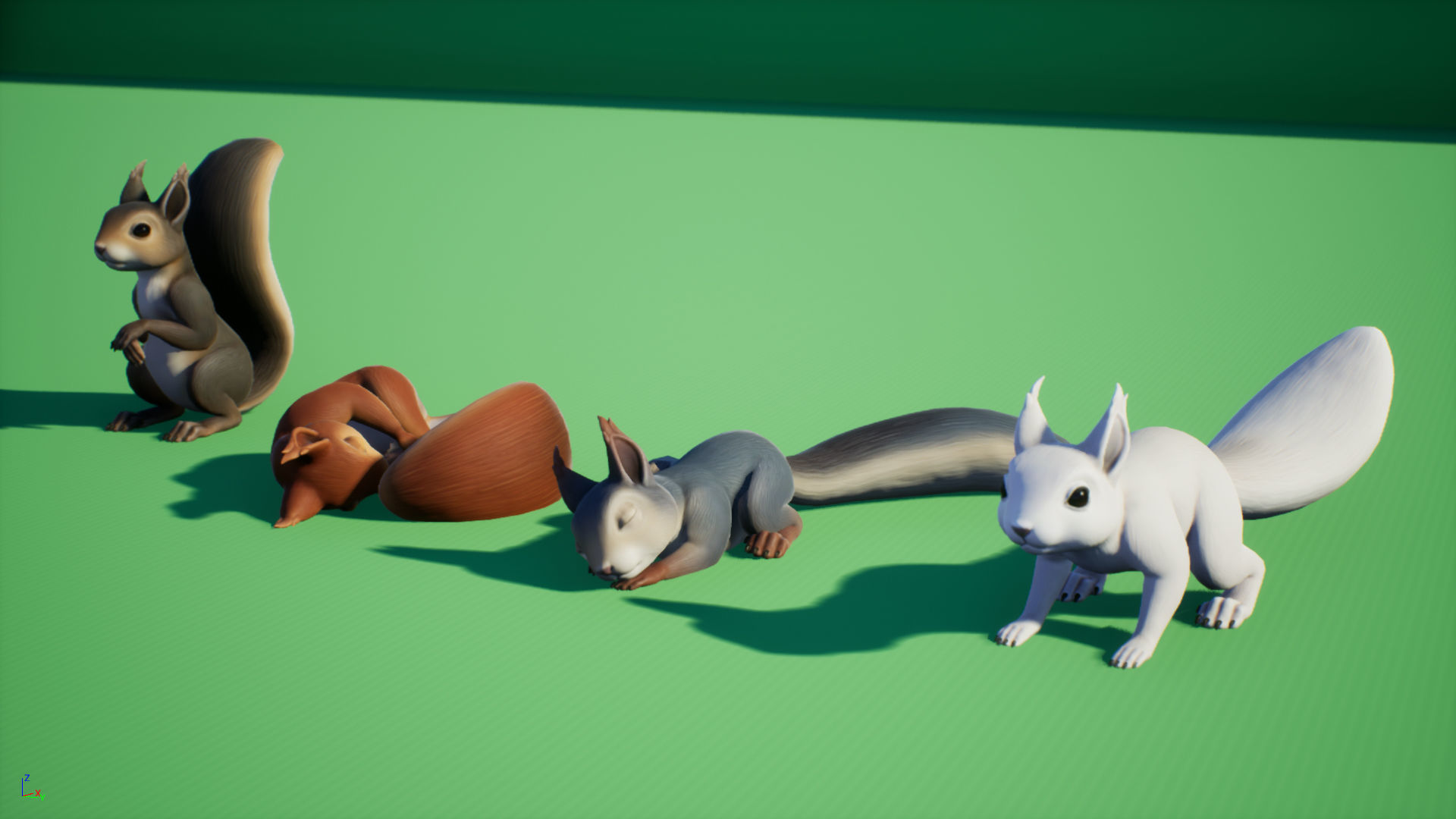 Squirrel squirrels Low-poly 3D model_4