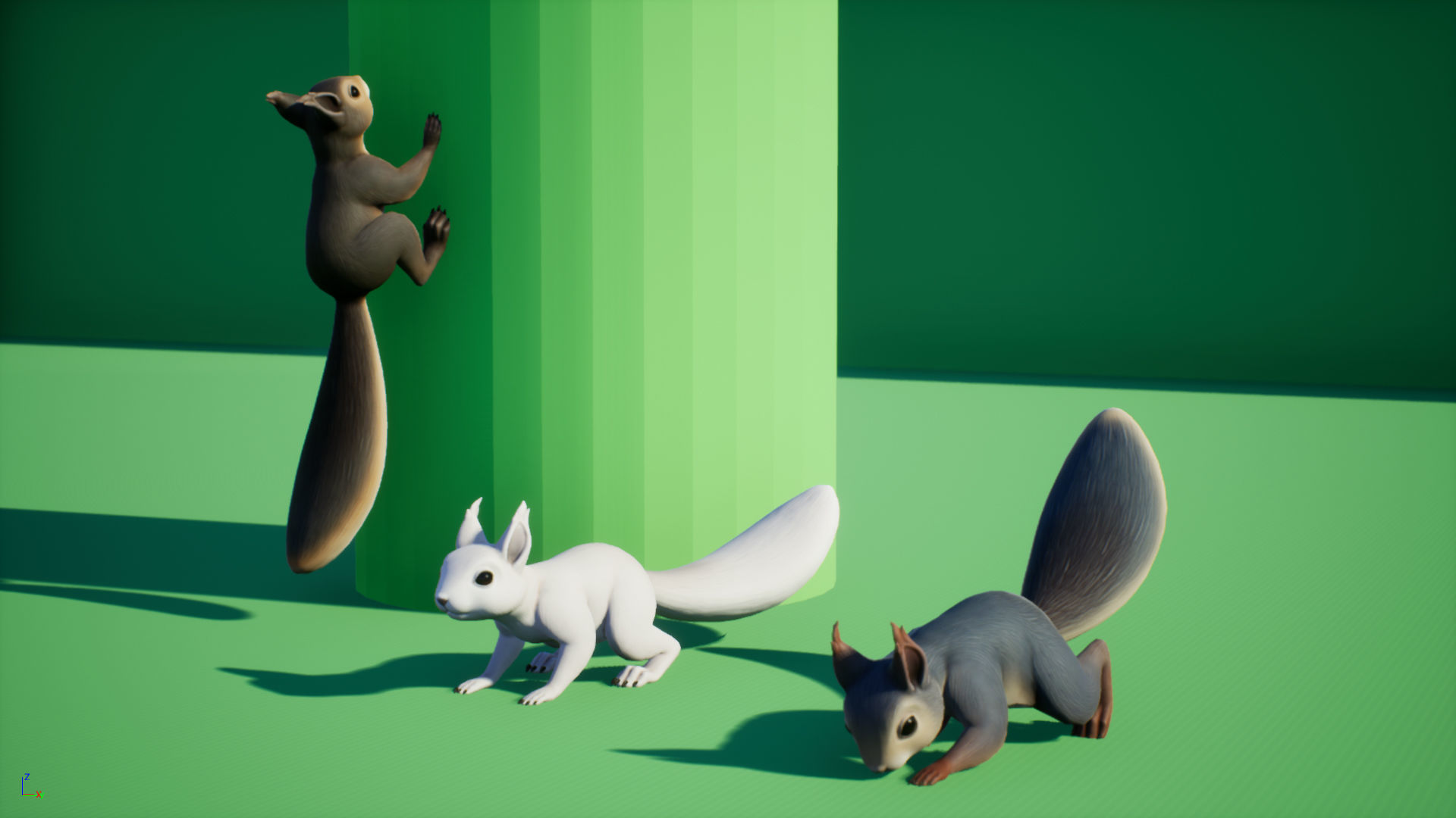Squirrel squirrels Low-poly 3D model_3