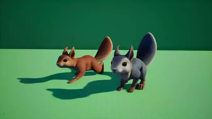 Squirrel squirrels