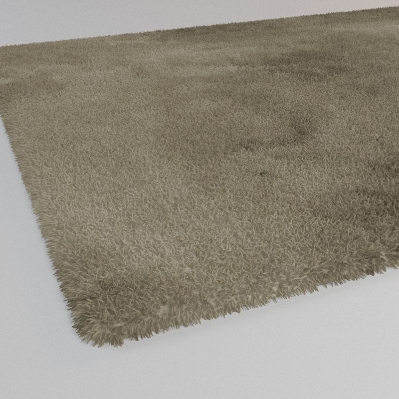 Floor Rug 3D model_2