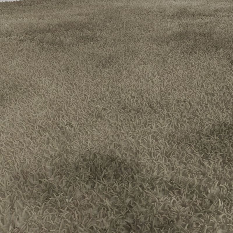 Floor Rug 3D model_3