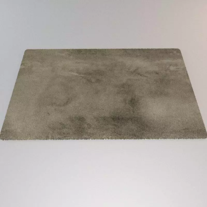 Floor Rug 3D model_0