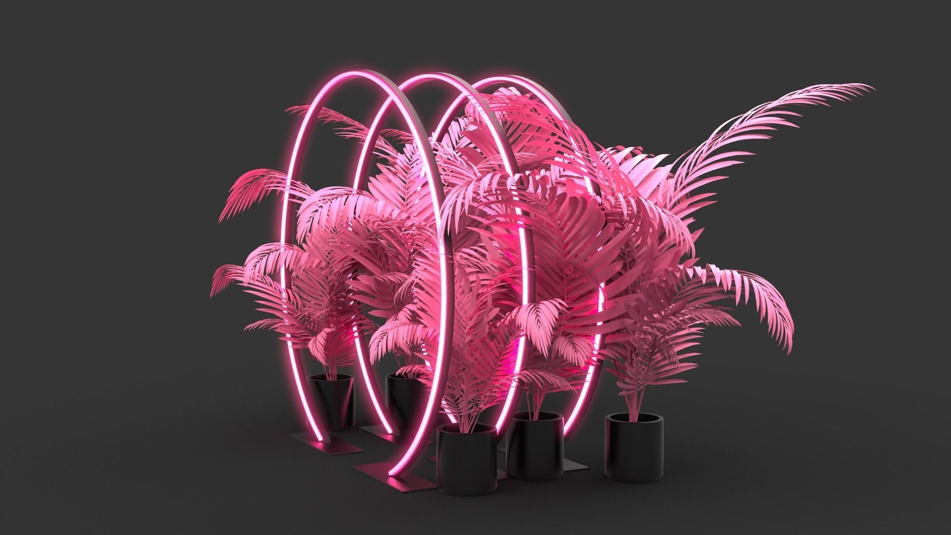 Neon Rings - Photo Opportunity 3D model_4