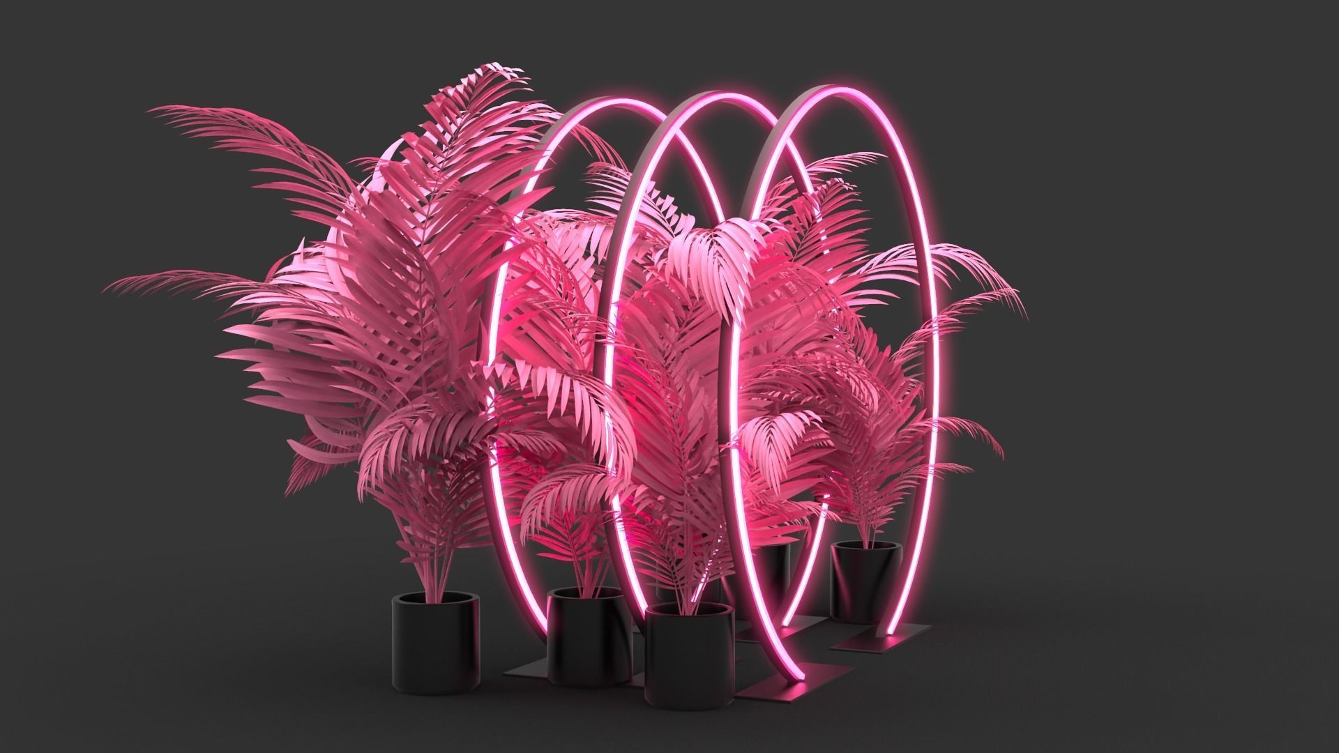 Neon Rings - Photo Opportunity 3D model_5